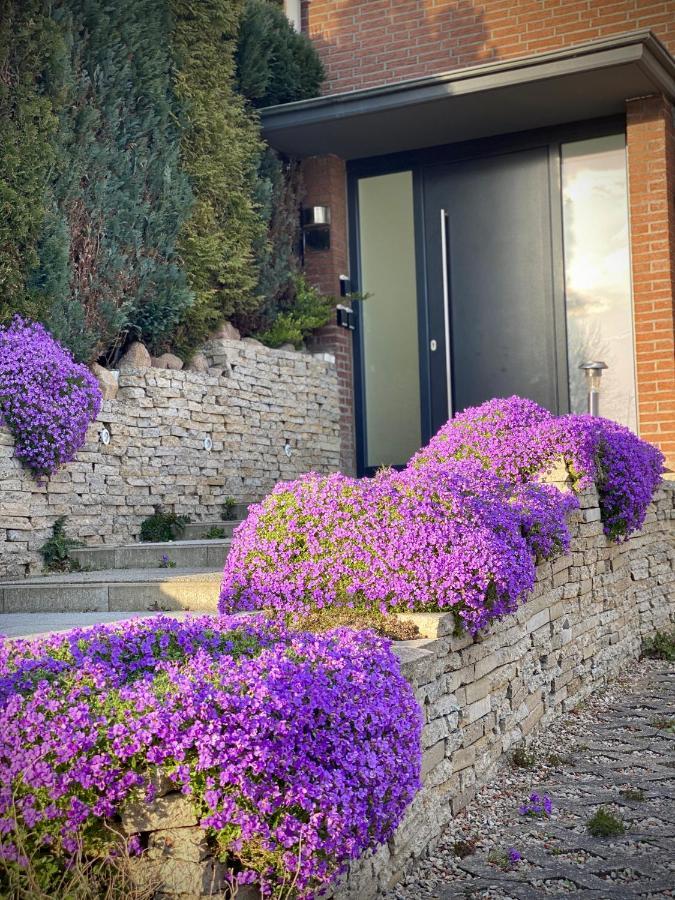 FeWo SEEBLICK - Familien - Hunde - strandnah - Ostseeblick - Sauna&Wellness Sierksdorf Exterior foto